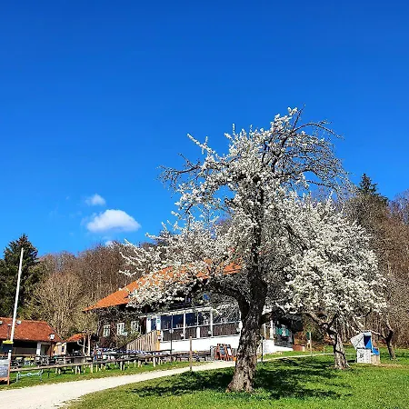 Schatzbergalm Guest house
